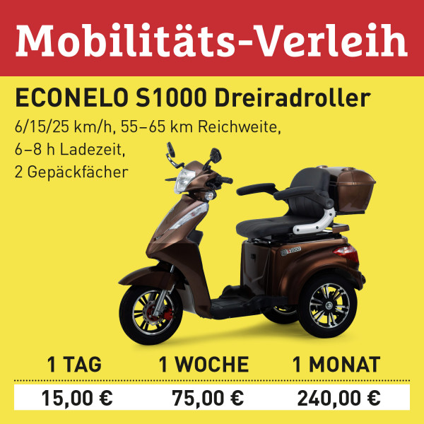 LEBENSFREUDE BY HOMANN Verleih Elektro-Scooter S1000